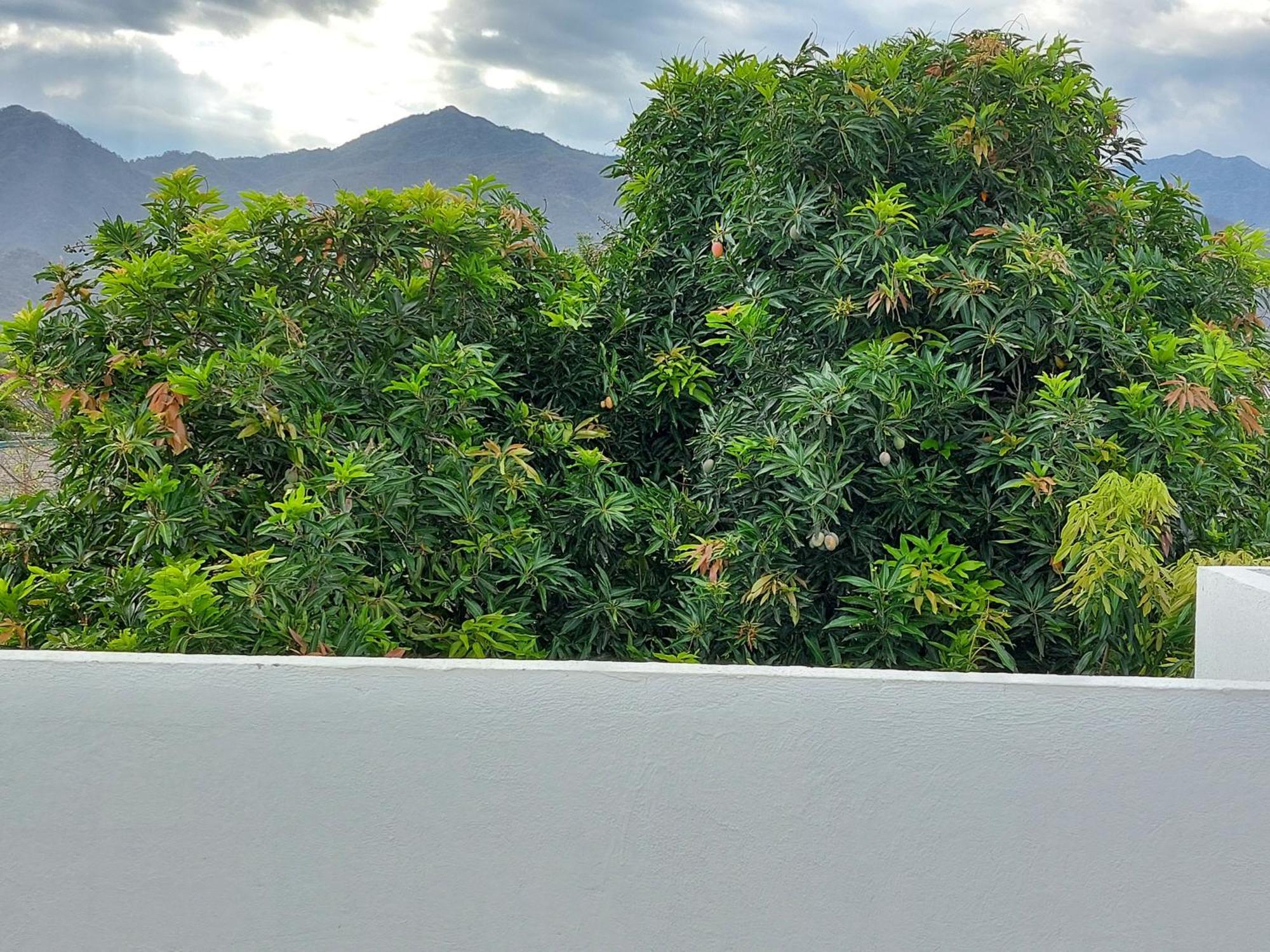 Apartmán Casa Bacoba Santa Marta  Exteriér fotografie